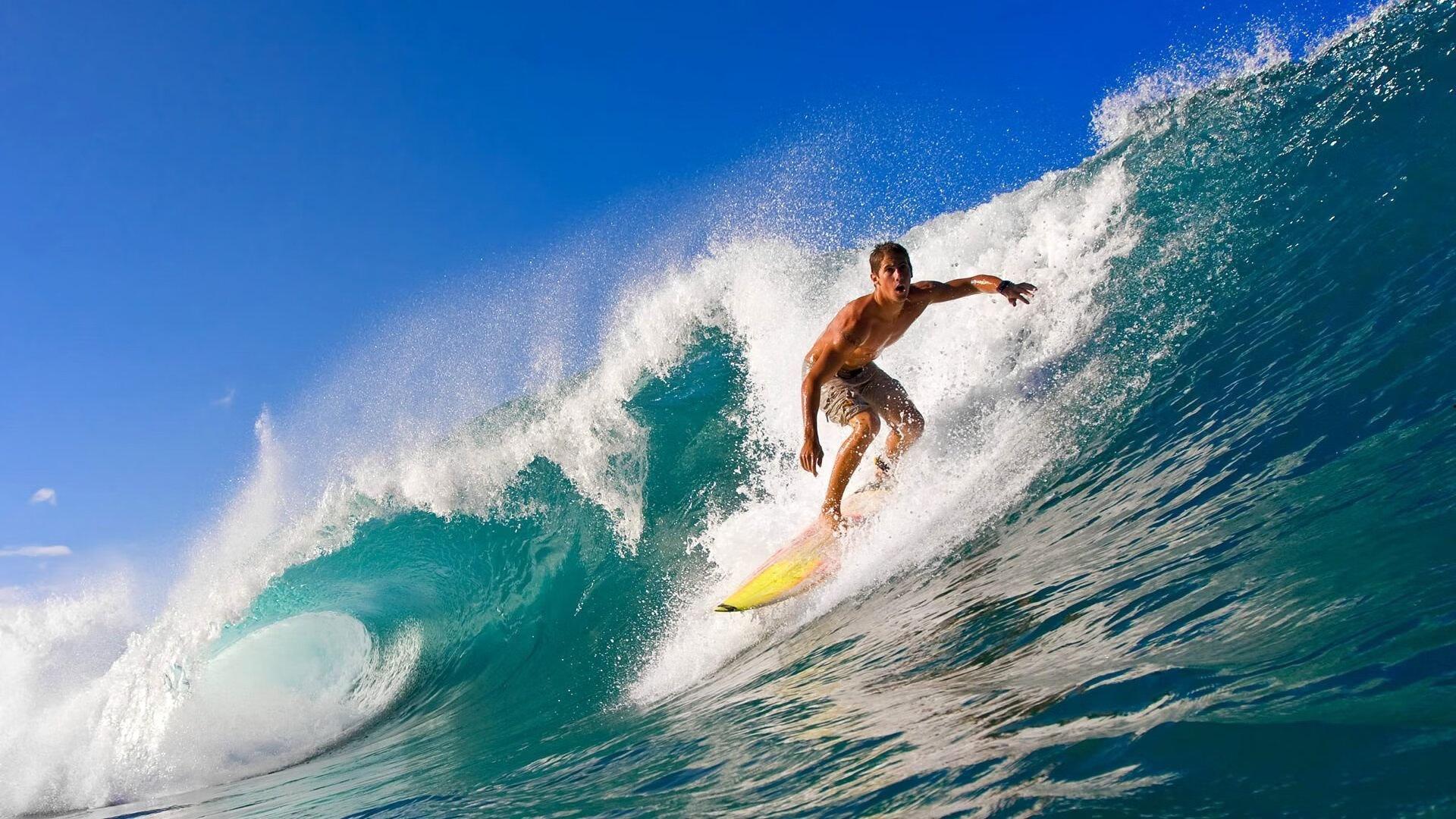 中国短道速滑队世锦赛再创辉煌 包揽三金展现绝对实力