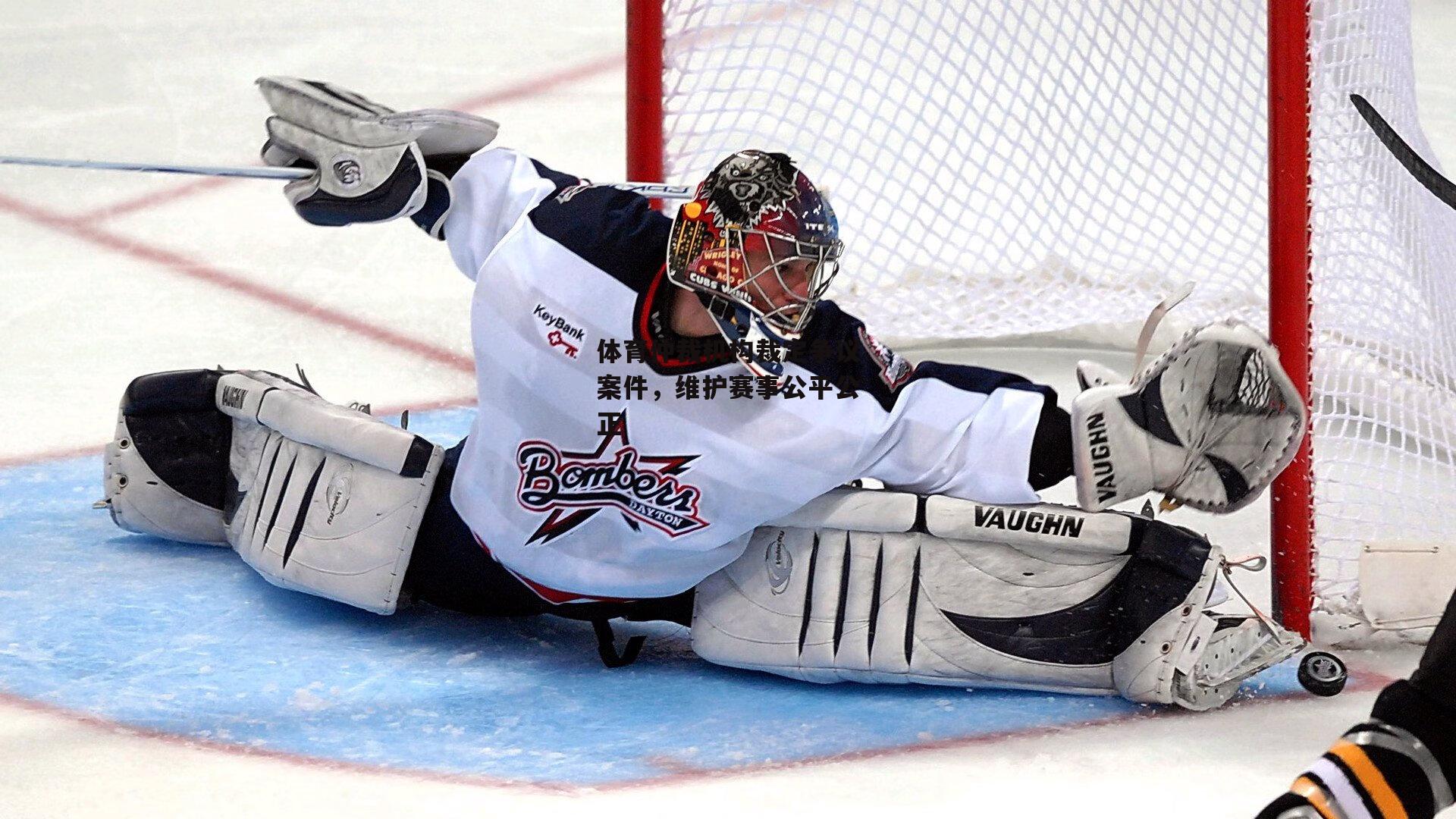 体育仲裁机构裁定争议案件,维护赛事公平公正