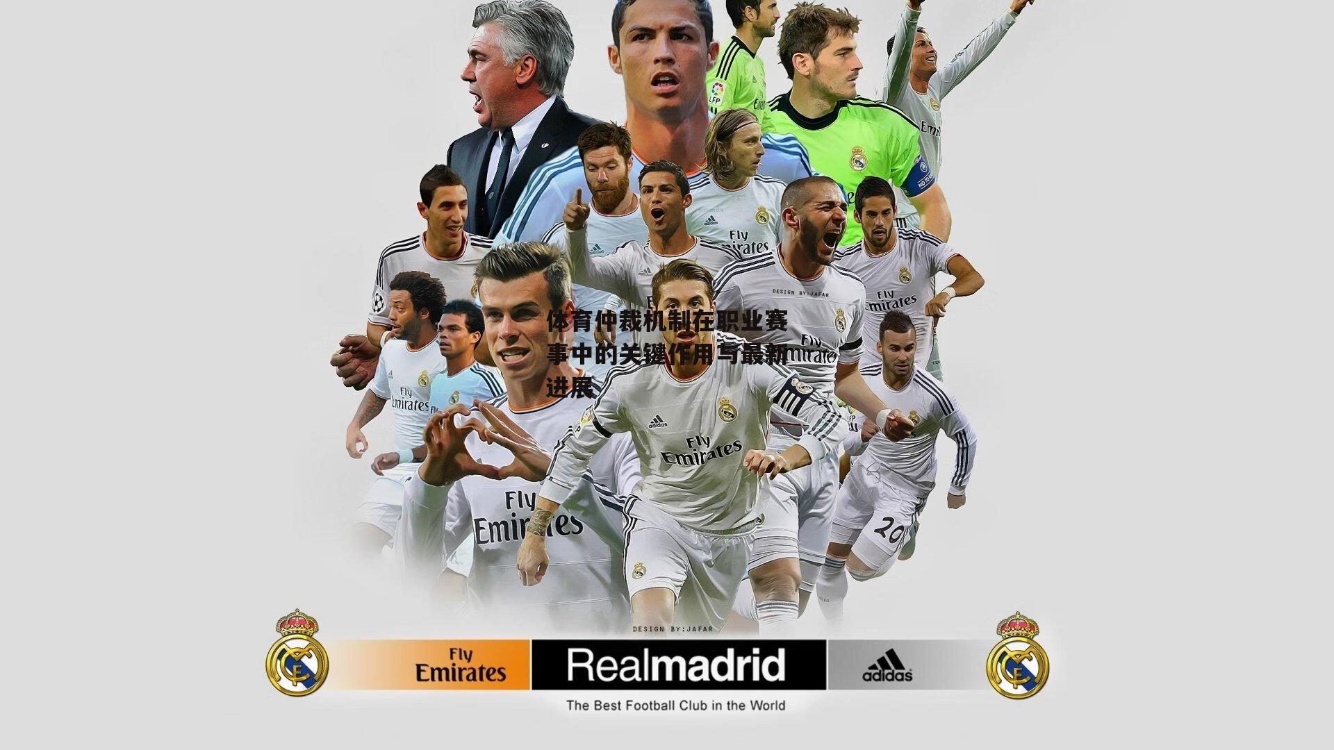 体育仲裁机制在职业赛事中的关键作用与最新进展