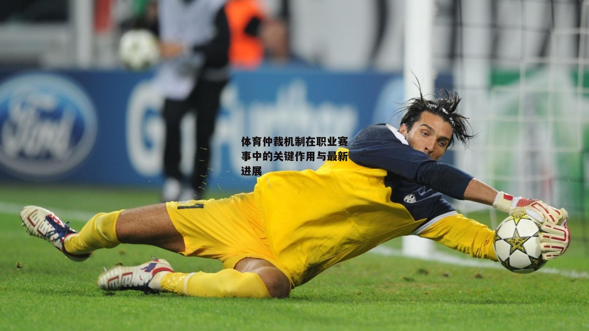 体育仲裁机制在职业赛事中的关键作用与最新进展