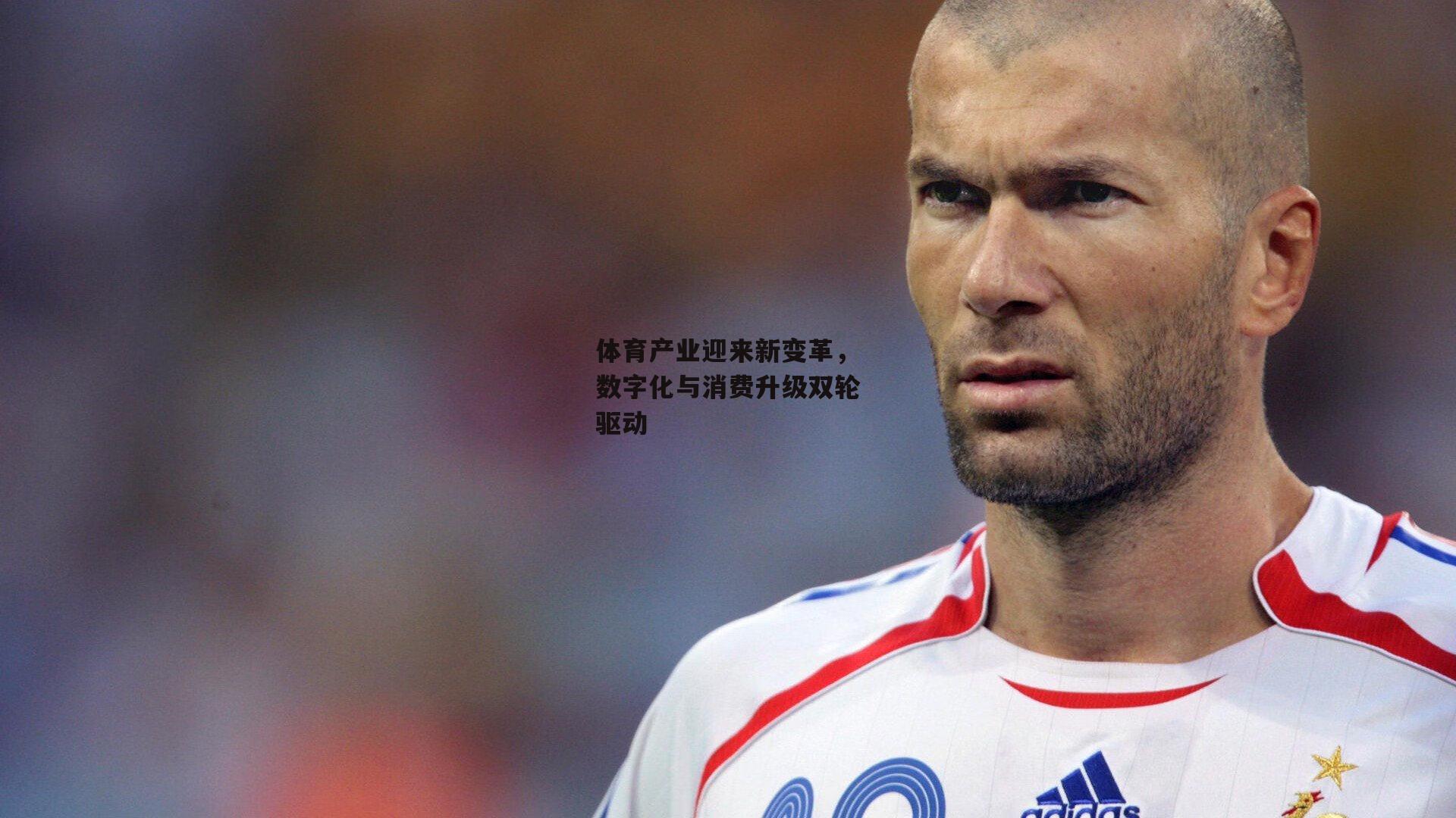 体育产业迎来新变革,数字化与消费升级双轮驱动