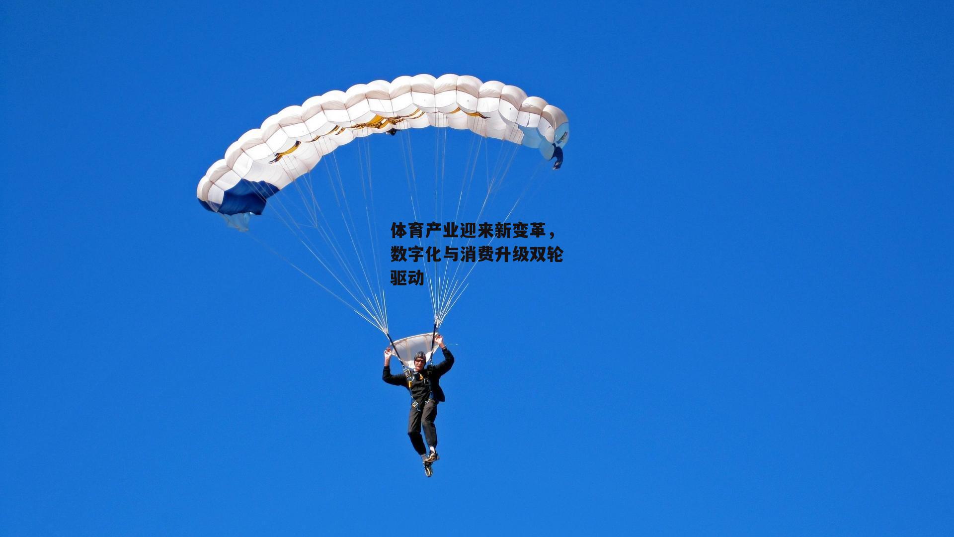 体育产业迎来新变革,数字化与消费升级双轮驱动